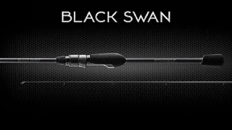 Обзор спиннинга Favorite Black Swan. Новинка 2021