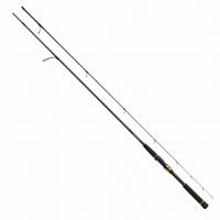 Спиннинг Daiwa Morethan Expert AGS 106M 3.23m 10-50g