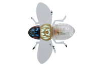 Воблер Jackall Bug Dog 37mm 3.1g Bug Skeleton