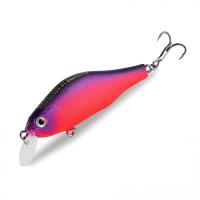 Воблер BearKing Khamsin 70SP #J 7cm 8.6g