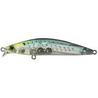 iBORN 78F Shallow