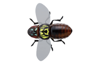 Воблер Jackall Bug Dog 37mm 3.1g Chartreuse Back Cicada