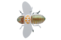 Воблер Jackall Bug Dog 37mm 3.1g Uka Cicada