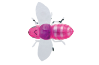 Воблер Jackall Bug Dog 37mm 3.1g Pink Bug
