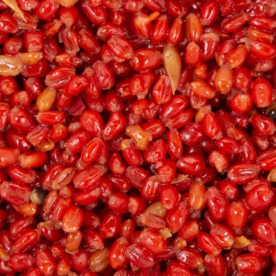 Зерновая смесь MINENKO Red Strawberry Wheat 1кг