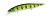 Воблер DUO Realis Jerkbait 120SP 120mm 18.0g AJA3055 Chart Gill Halo