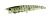 Воблер DUO Realis Spinbait Heartbee 75SS 75mm 6.0g CCC3388 Moss Shrimp