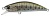 Воблер DUO Spearhead Ryuki 50S 50mm 4.5g ACC4834 Yamame ND