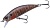 Воблер DUO Spearhead Ryuki 50S 50mm 4.5g CCC3357 True Gill