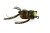 Силиконовая лягушка Reins Semi Frog 37mm 4g #028 Greenpumpkin Blue