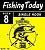 Одинарный крючок Fishing Today S-59 #4