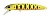 Воблер ValkeIN Figure Native Level Ondine 63mm 6.3g C235 Chart Gold Yamame OB