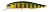 Воблер DUO Realis Jerkbait 85SP 85mm 8.0g ASA3146 Gold Perch