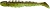 Силикон Reins Bubbring Shad 3'' B08 Green Pumpkin Chart Melon