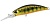 Воблер DUO Spearhead Ryuki 50MDSP 50mm 3.4g MCC4084 Gold Yamame