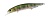 Воблер DUO Realis Jerkbait 100SP 100mm 14.5g DTA3345 AM Hasu