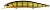 Воблер DUO Realis Jerkbait 130SP 130mm 22.0g ASA3146 Gold Perch
