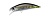 Воблер DUO Spearhead Ryuki 50S 50mm 4.5g GPA4009 River Bait