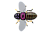 Воблер Jackall Bug Dog 37mm 3.1g Pink Back Cicada