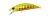 Воблер DUO Spearhead Ryuki 50S 50mm 4.5g ANA4056 Golden Yamame