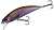 Воблер DUO Spearhead Ryuki 50S 50mm 4.5g CCC3836 Rainbow Trout ND