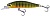 Воблер DUO Realis Rozante 63SP 63mm 5.0g ASA3146 Gold Perch