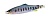 Блесна DUO Spearhead Caldera Rockback 24g ANA4039 Baby Salmon