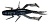Силикон Jackall Dragon Bug 3'' Black/Blue Shrimp