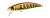 Воблер DUO Spearhead Ryuki 51S 51mm 5.5g AHA4052 Peach Gold Yamame