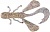 Силикон Jackall Vector Bug 2.5'' Clear Shrimp