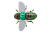Воблер Jackall Bug Dog 37mm 3.1g Green Kanabun