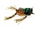 Силиконовая лягушка Reins Semi Frog 37mm 4g #016 Clear Minmin
