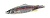 Блесна DUO Spearhead Caldera Rockback 24g ADA4013 Wakasagi