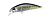 Воблер DUO Spearhead Ryuki 45S 45mm 4.0g GPA4009 River Bait
