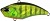 Воблер DUO Realis Vibration 65 Nitro 65mm 17.5g AJA3055 Chart Gill Halo