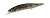 Воблер DUO Realis Jerkbait 120SP 120mm 18.0g CCCZ103 Goby