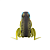 Силиконовая лягушка Lunkerhunt Popping Frog 57mm 14g Blue Gill