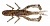 Силикон Jackall Dragon Bug 3'' Cinnamon Shrimp